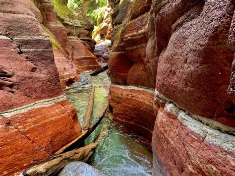 Red Rock Canyon Hike - Waterton Lakes National Park - The Holistic ...