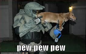 All About Funny: Funny Dogs With Guns Pictures