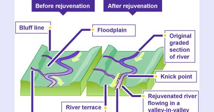 CIVIL SERVICES ARENA: River Rejuvenation