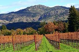 Wine Country - Wikipedia