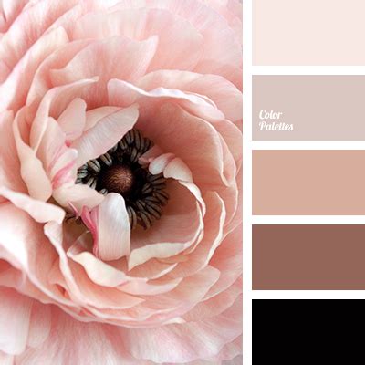 pink with a touch of beige | Color Palette Ideas