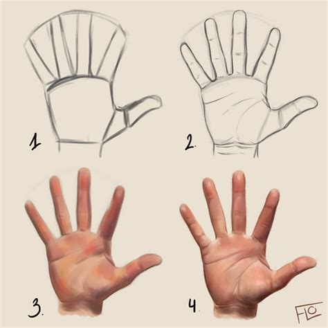 Drawing a hand step by step Made in Photoshop using a Wacom drawing tablet You can find the ...