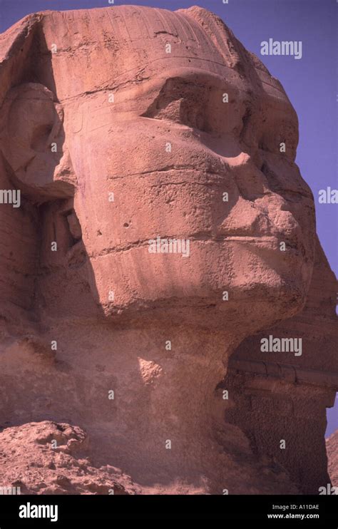 Sphinx Egypt Giza Face Dame to nose and forehead Stock Photo - Alamy