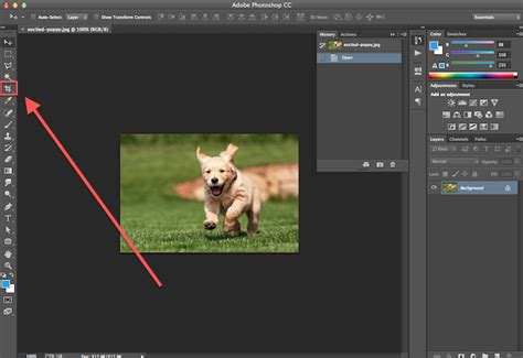 How to Crop Images in Photoshop to Specific Sizes [Quick Tip]