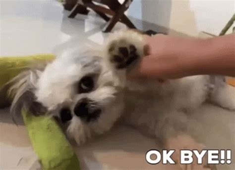 Bye Ok Bye GIF - Bye Ok Bye Good Bye - Discover & Share GIFs