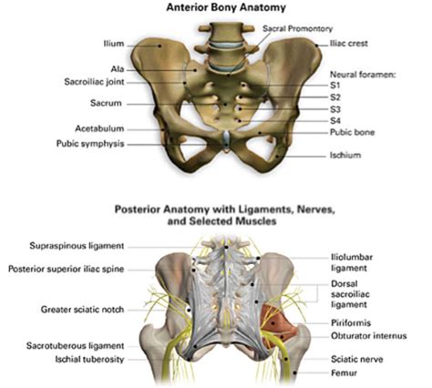 Pin on autoimmune and pain