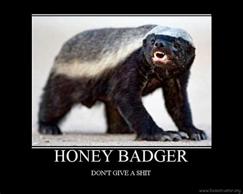 Honey Badger don't care... Honey Badger don't give a shit! haha | Honey ...