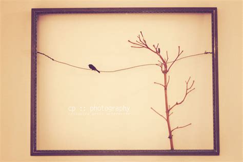 sassafras: bird on a wire :: diy :: wall decor
