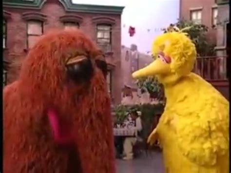 Big Bird and Snuffy in The Street We Live On! | Music for kids, Big ...