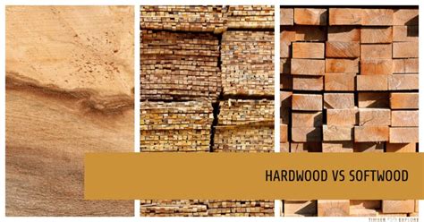 Hardwood vs Softwood : All You Need To Know