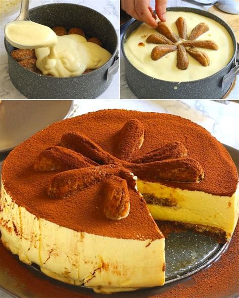 Tiramisu cheesecake: the recipe for a fresh and creamy dessert – foodreli