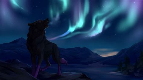 Wolf Aurora Wallpapers - Top Free Wolf Aurora Backgrounds - WallpaperAccess