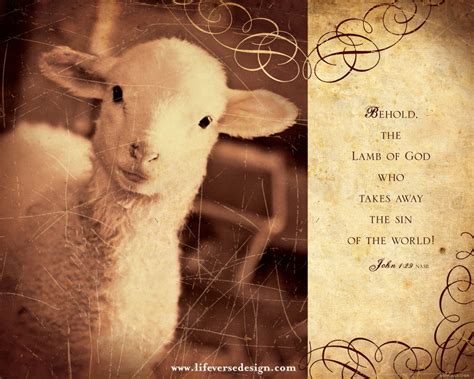 John 01 — THE LAMB OF GOD - Life Verse Design