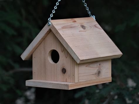 7 Unique Types of Bird Houses to Inspire You - EatHappyProject