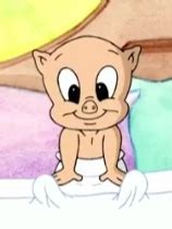 Baby Porky | Baby Looney Tunes Wiki | Fandom