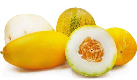 Timun Suri Melons Information, Recipes and Facts