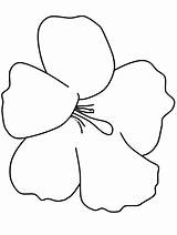 Hibiscus Flower Coloring Page Free & coloring Book sketch template