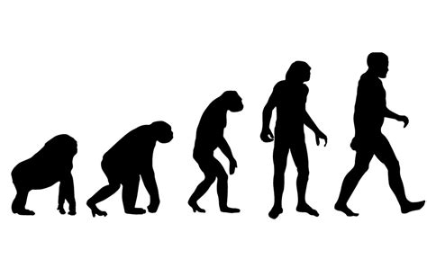 Have humans stopped evolving? | SiOWfa15: Science in Our World ...