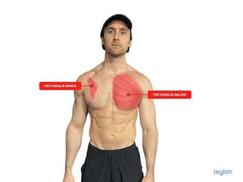 Pectoralis Major Workout