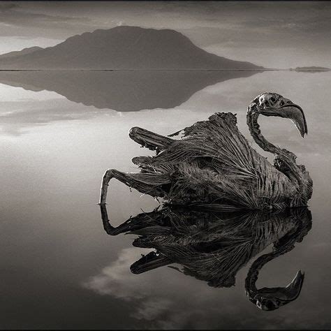 Lake Natron, Tanzania Photography by Nick Brandt | Statue, Turn to ...