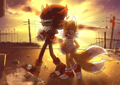 Survivalstep 🎧🐓 on Twitter | Sonic and shadow, Shadow the hedgehog, Sonic