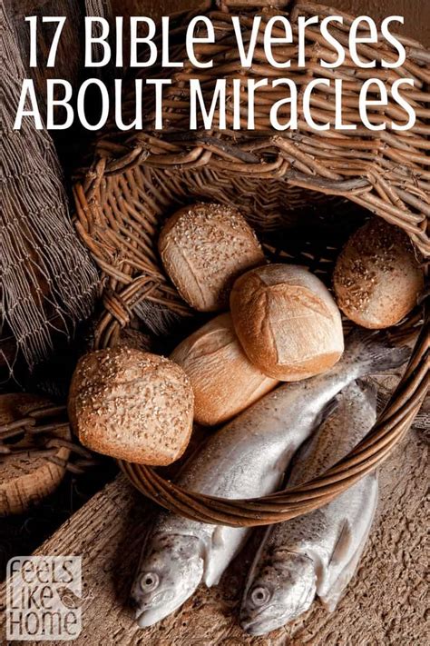 17 Bible Verses about Miracles & 16 Real Miracles from the Bible - Feels Like Home™