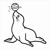Seal Coloring Pages  ColoringBay sketch template
