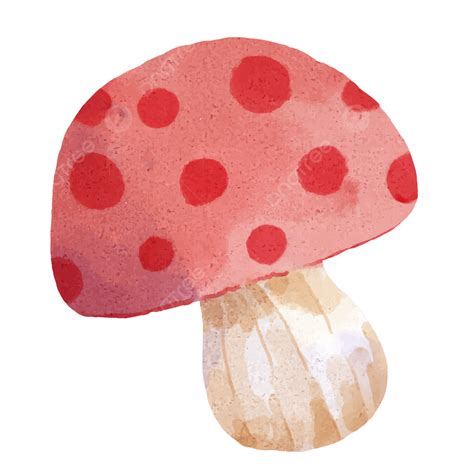 Adorable Illustration Vector Hd Images, Vector Illustration Watercolor Adorable Mushroom For ...