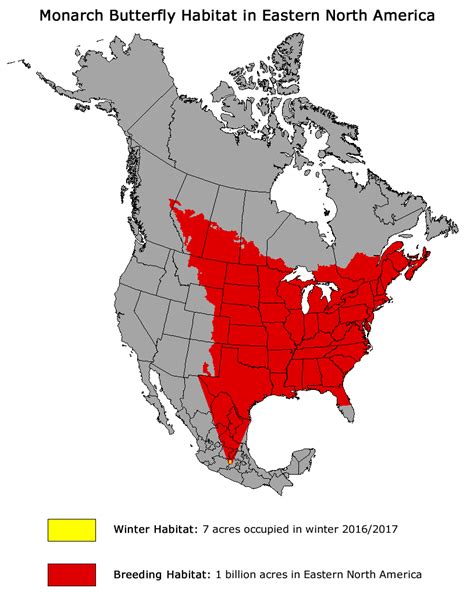 Monarch Butterfly Distribution Map - vrogue.co