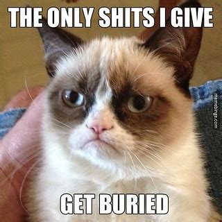 Grumpy Cat don't give a shit. | mbinge.co/1t7jMJz | Meme Binge | Flickr