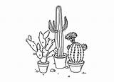 Cactus Tumblr Drawing At GetDrawings  Free Download sketch template