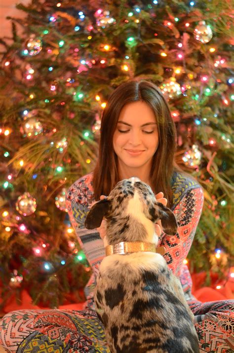 Christmas pet pictures/ pet photos/ Christmas dog photos/ dogs and pajamas/ Christmas pho… | Dog ...