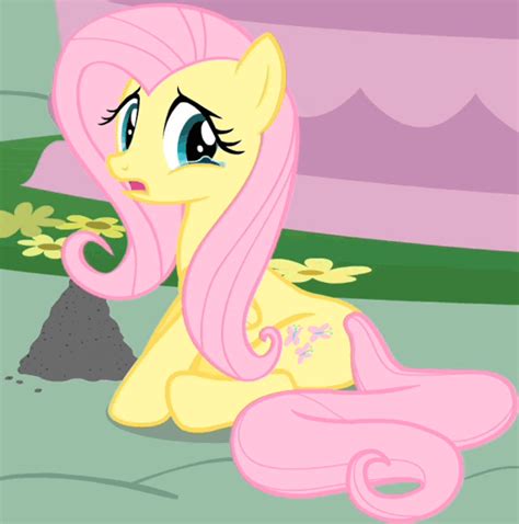 Fluttershy Crying - My Little Pony Friendship is Magic Photo (36155025 ...