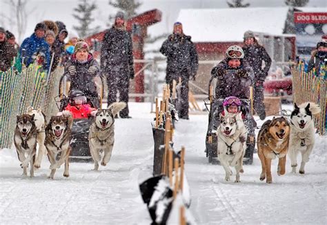 5 Alberta Winter Festivals to Explore with Kids in February - Raising Edmonton