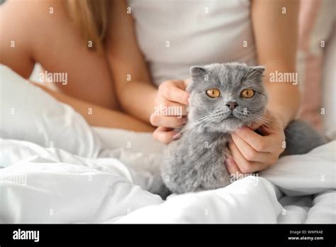 Cute cat with owner in bed at home Stock Photo - Alamy