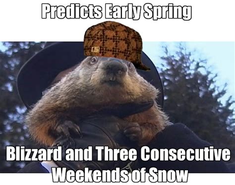 10 Groundhog Day Memes That Celebrate The Ridiculousness Of This Tradition