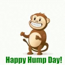 Hump Day Monkey GIF - HumpDay Monkey Dance - Discover & Share GIFs