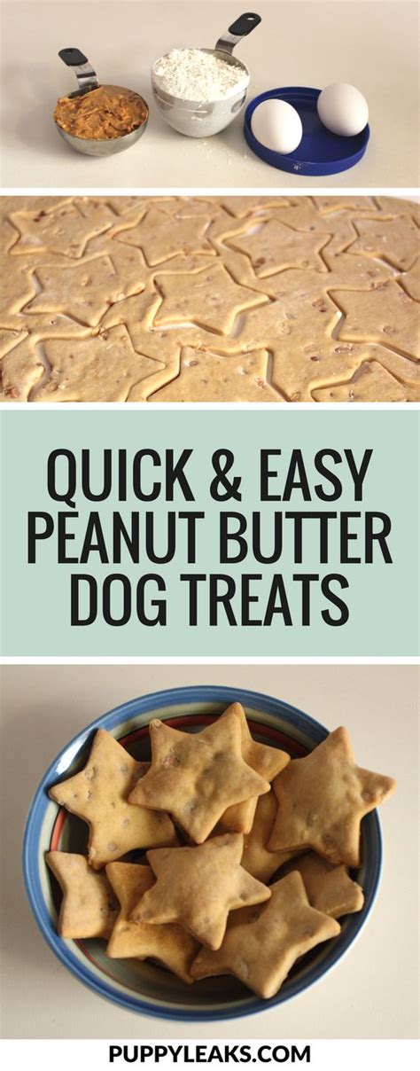 Quick & Easy Peanut Butter Dog Treats - Puppy Leaks