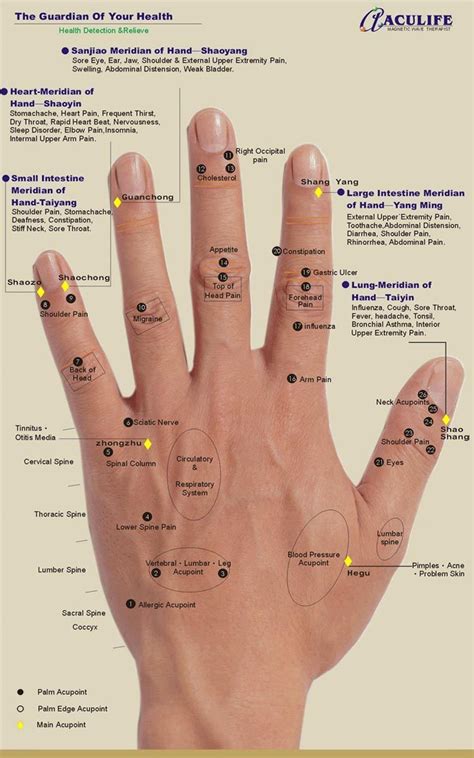 Pressure point for migraine | Hand reflexology, Reflexology hand chart, Reflexology chart