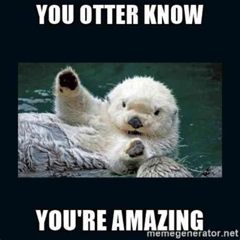 You otter know you're amazing! | Funny positive memes, Motivational ...