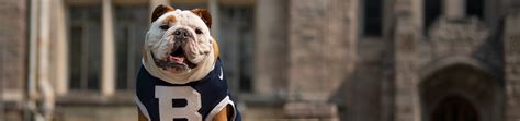 Butler Blue | The Official Mascot of Butler University