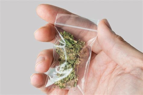 What is a Dime Bag and How Do You Buy One? | Herb Approach