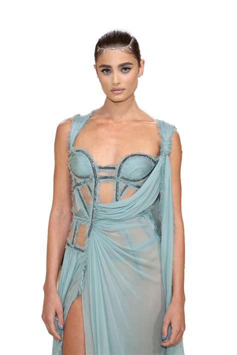 Met Gala Taylor Hill 2021 Transparent Background - PNG Play