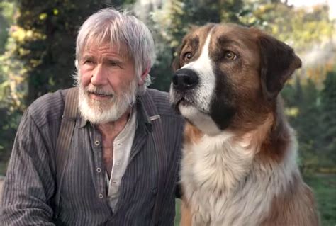 “Call of the Wild’: How CG Dog Buck Held His Own with Harrison Ford | IndieWire