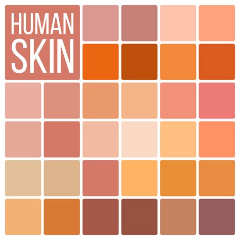 Skin Color Chart Stock Illustrations 599 Skin Color C - vrogue.co