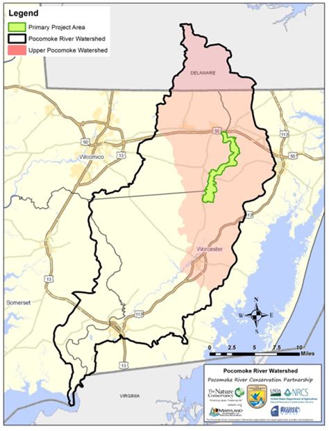 Pocomoke River Restoration Project: Enhancing resiliency to climate variability and flooding