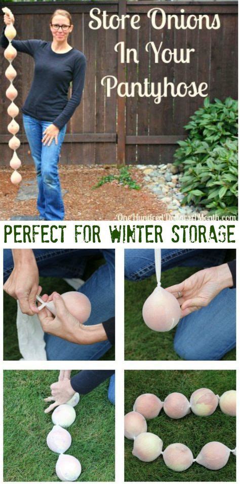 Storing Onions in Mesh Bags and Pantyhose, How to Store Onions, Winter ...