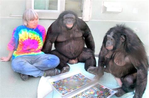 Kanzi bonobo smart research | Bonobo, Animal intelligence, Tropical animals