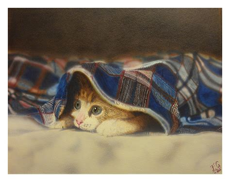 My Fine Art Center: Kitten under Blanket