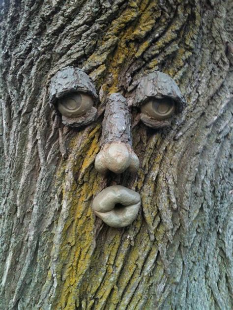 a tree with a face | Tree faces, Unique trees, Garden art diy